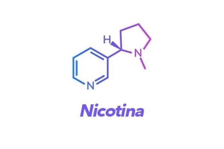 nicotina 