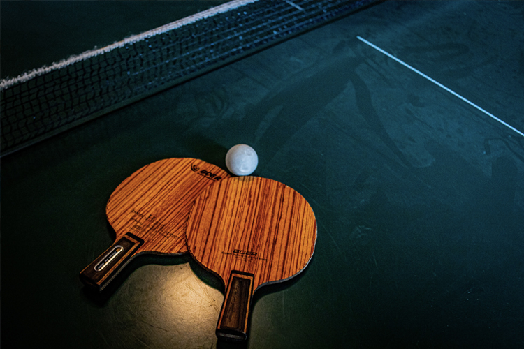 comprar mesa de ping pong plegable